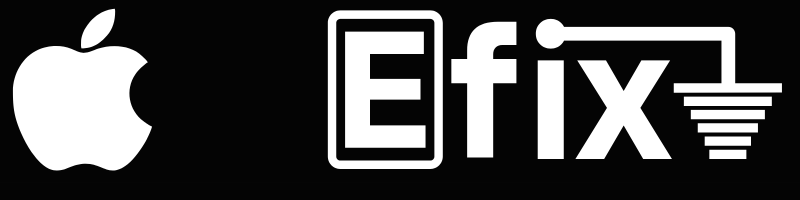 EFIX REPUESTO